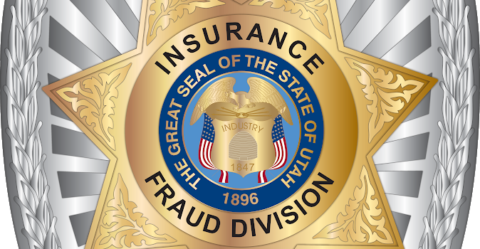 Insurance Fraud Investigator